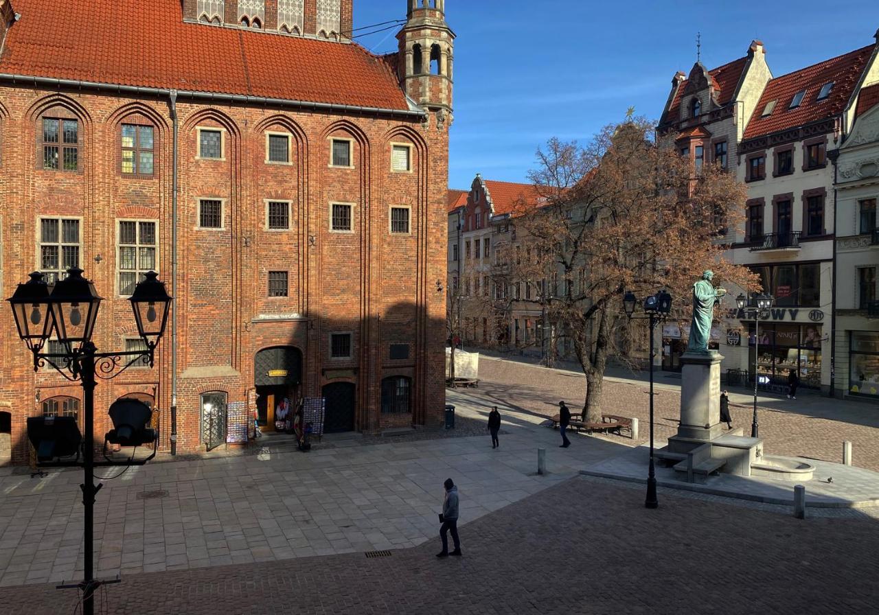 Sowa Torun