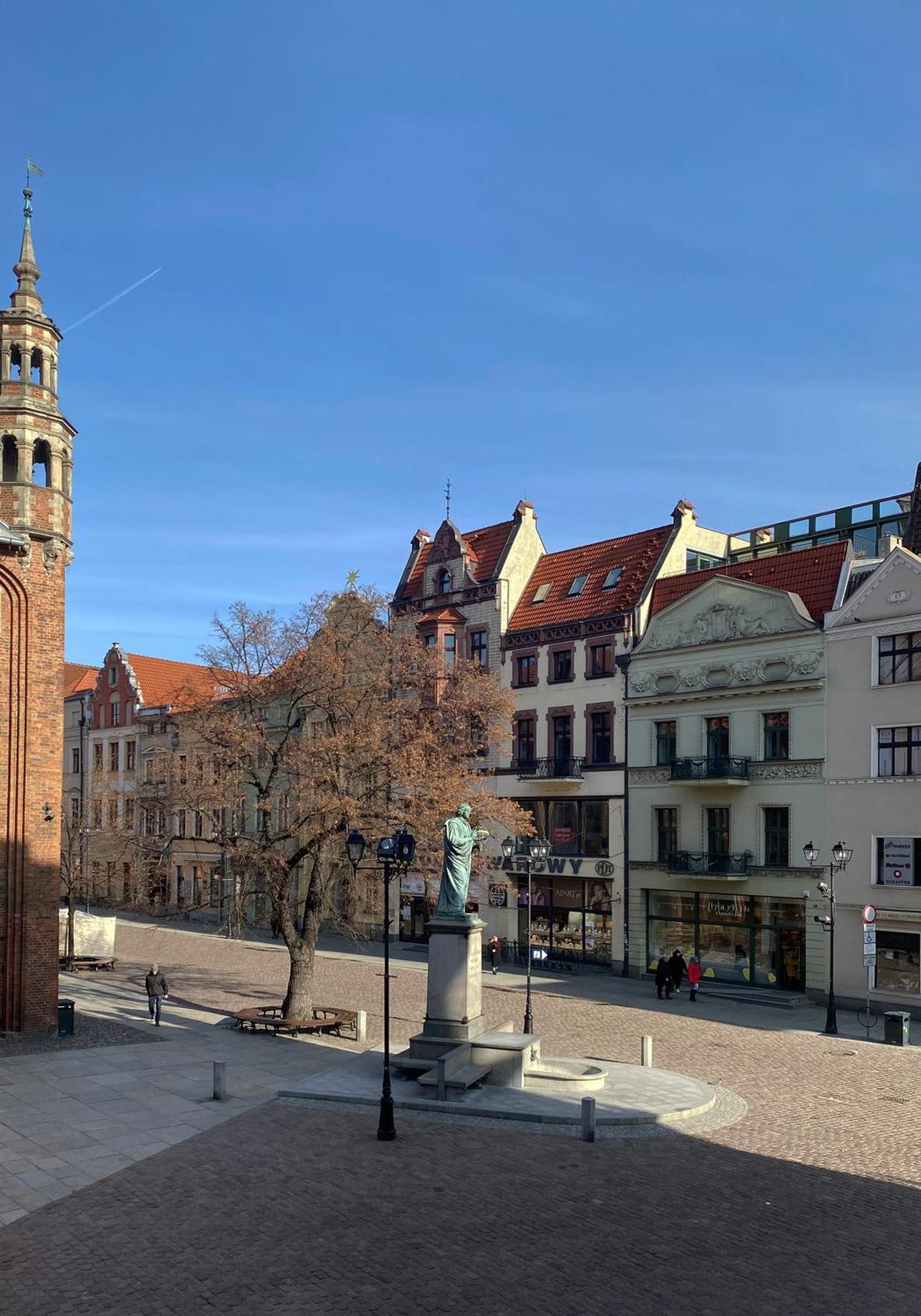 Sowa Torun